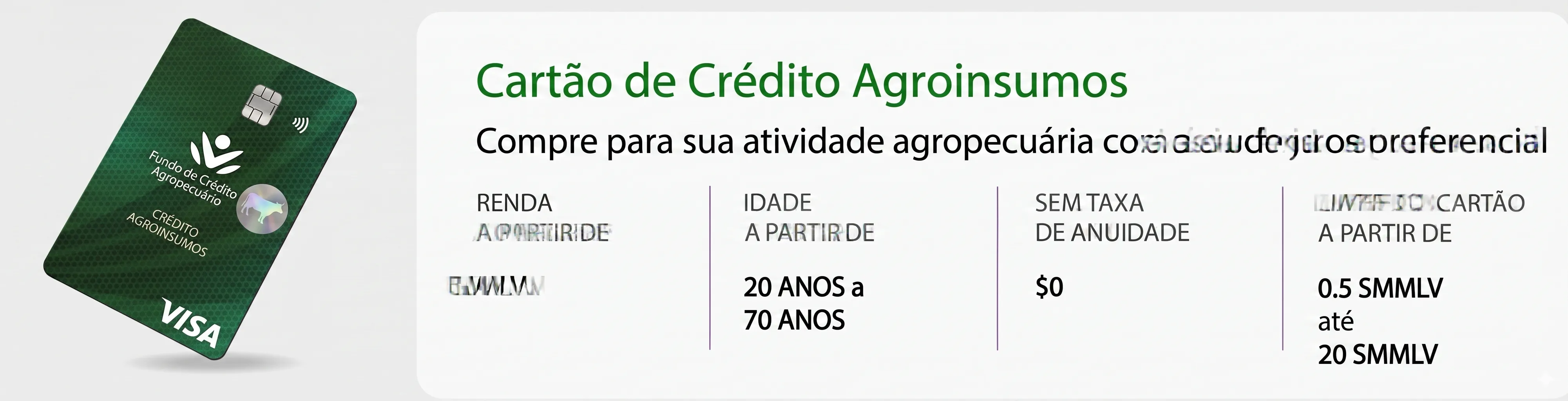 Cartão de Crédito AgroInsumos com bandeira Visa, taxa zero, faixa etária 20-70 anos